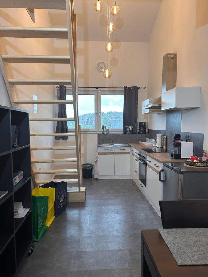 מארקט שוואבן Moderne Maisonettewohnung/2 Zimmer/Kueche/Bad #2 מראה חיצוני תמונה